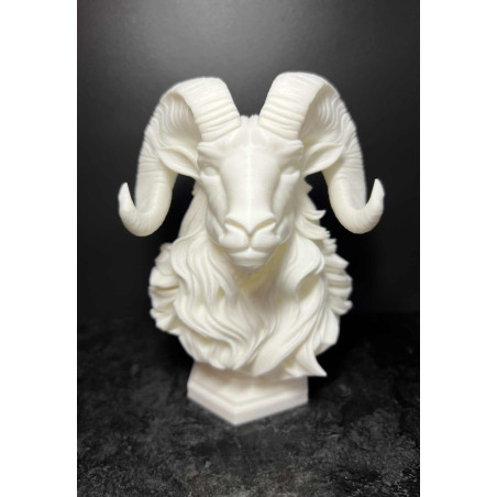 ELEGANT RAM